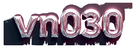 vn030 logo